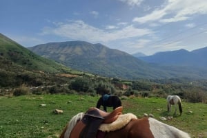 Sarandë : Horseback Ride for Beginners