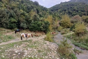 Sarandë : Horseback Ride for Beginners