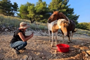 Sarandë : Horseback Ride for Beginners