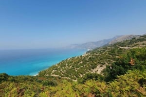 Sarandë : Horseback Ride for Beginners