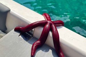 Sarandë: Båttur til skjulte strender og grotter på den joniske kysten