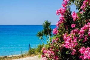 Sarandë: Lukove, Borsh, Porto Palermo, and Himare Day Trip