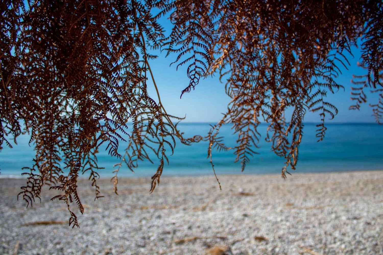 Sarandë: Tour guiado por Qeparo e Himara