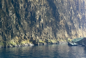 Île de Sazan, grotte de Haxhi Ali et parc marin : Excursion en bateau rapide