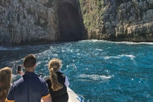 Sazan Insel, Haxhi Ali Höhle und Meerespark: Speedboat Tour