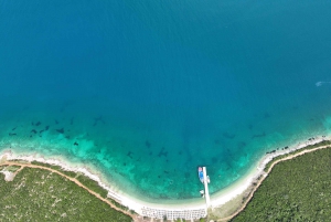 Vlore:Sazan Island Small Group Speedboat Tour