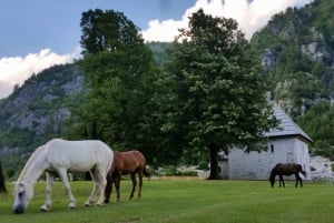 Self-Guided Tour: Theth, Valbona & Koman Lake