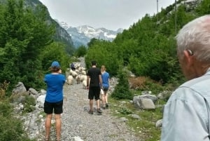 Semi-Private Hiking Tour; Theth & Blue Eye in 3 Days