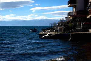 Tour particular pela Macedónia do Norte: Ohrid &Struga desde Tirana