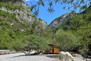 Tour autoguiado de un día por el río Shala