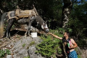 Shkoder: Albanian Alps and Theth Village Day Tour w/Lunch