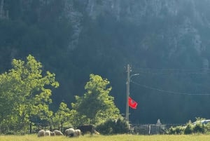 Shkoder: Albanian Alps and Theth Village Day Tour w/Lunch