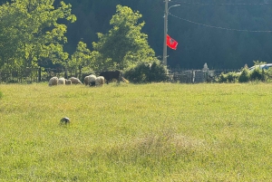 Shkoder: Albanian Alps and Theth Village Day Tour