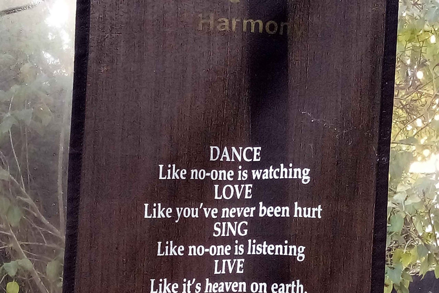 Experiência Culinária e de Bem-Estar de Shkodër — Tesouros Escondidos