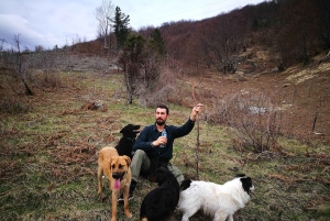 Experiência Culinária e de Bem-Estar de Shkodër — Tesouros Escondidos