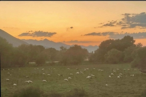 Experiência Culinária e de Bem-Estar de Shkodër — Tesouros Escondidos