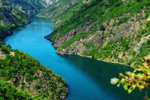 Scutari: gita di 1 giorno al lago Koman, al fiume Shala e a Valbona