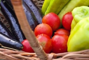 Shkoder: Lokal matupplevelse och rundvandring