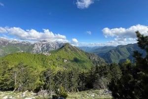 Shkodër : excursion d'une journée dans le parc national de Thethi avec un guide de la région