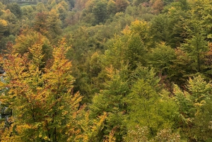 Shkoder: Transport til Valbona/Theth/Shala-elven. Begge veier.
