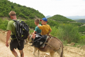 Shpirag: Donkey Riding Half Day Tour from Berat