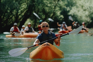 Skadar Lake: 4-Hour Guided tours on Kayak