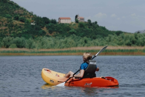 Skadar Lake: 4-Hour Guided tours on Kayak