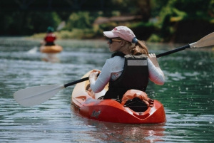 Skadar Lake: 4-Hour Guided tours on Kayak