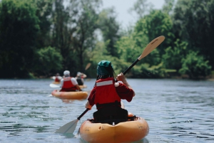 Skadar Lake: 4-Hour Guided tours on Kayak