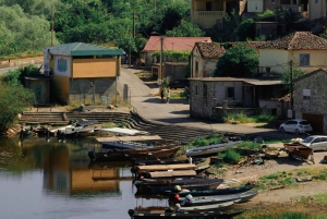 Skadar Lake: 4-Hour Guided tours on Kayak