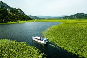 Lac de Skadar et rivière Crnojevića : baignade, collations et vin