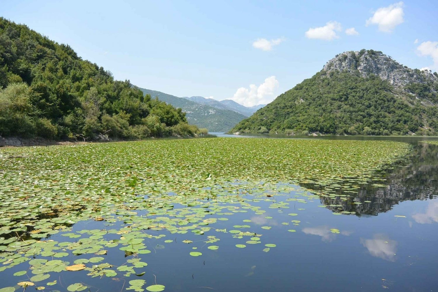 Dagsutflykt till Skadarsjön från Herceg Novi