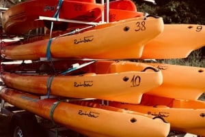 ༄ Skadar Lake: Guided tour on Kayak or Paddle board