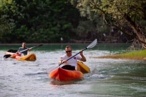 ༄ Skadar Lake: Guided tour on Kayak or Paddle board