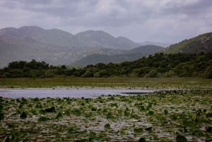 ༄ Skadar Lake: Guided tour on Kayak or Paddle board