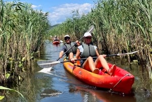 ༄ Skadar Lake: Guided tour on Kayak or Paddle board