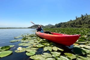 ༄ Skadar Lake: Guided tour on Kayak or Paddle board