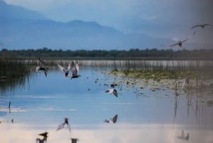 Jezioro Skadar: indywidualne spływy kajakowe