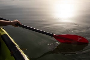 Lac Skadar : expérience individuelle en kayak