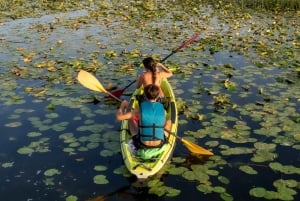 Lago Skadar: experiencia individual en kayak