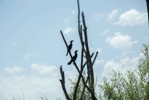 Skadar Lake: Individual Kayaking Experience