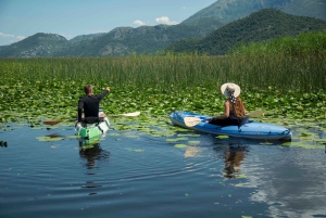 Lago Skadar: Caiaque individual, canais escondidos e natação