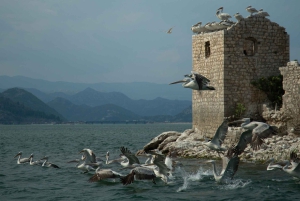 Lago Skadar: Caiaque individual, canais escondidos e natação