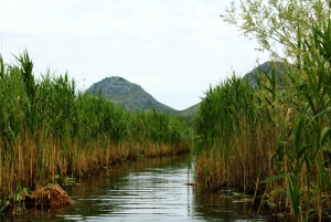 Skadar Lake National Park: Fågelskådning och fotograferingstur