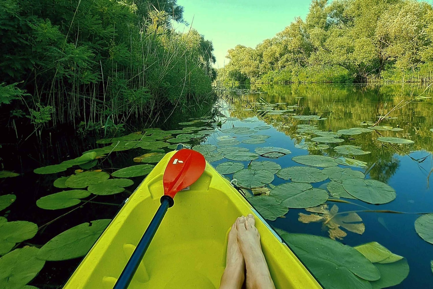 Skadar Lake National Park: Eco-friendly Kayak Adventure