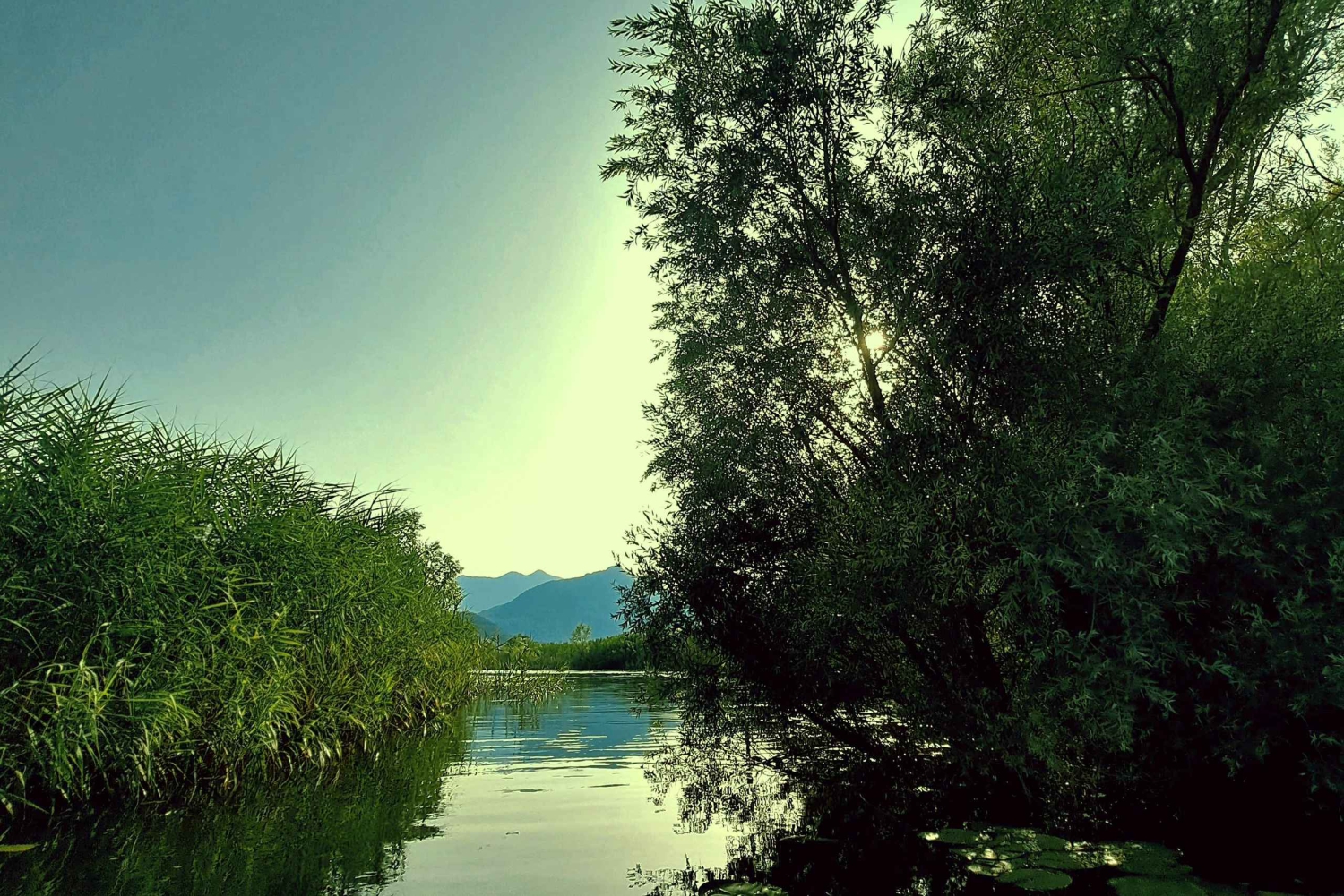 Skadar Lake National Park: Eco-friendly Kayak Adventure