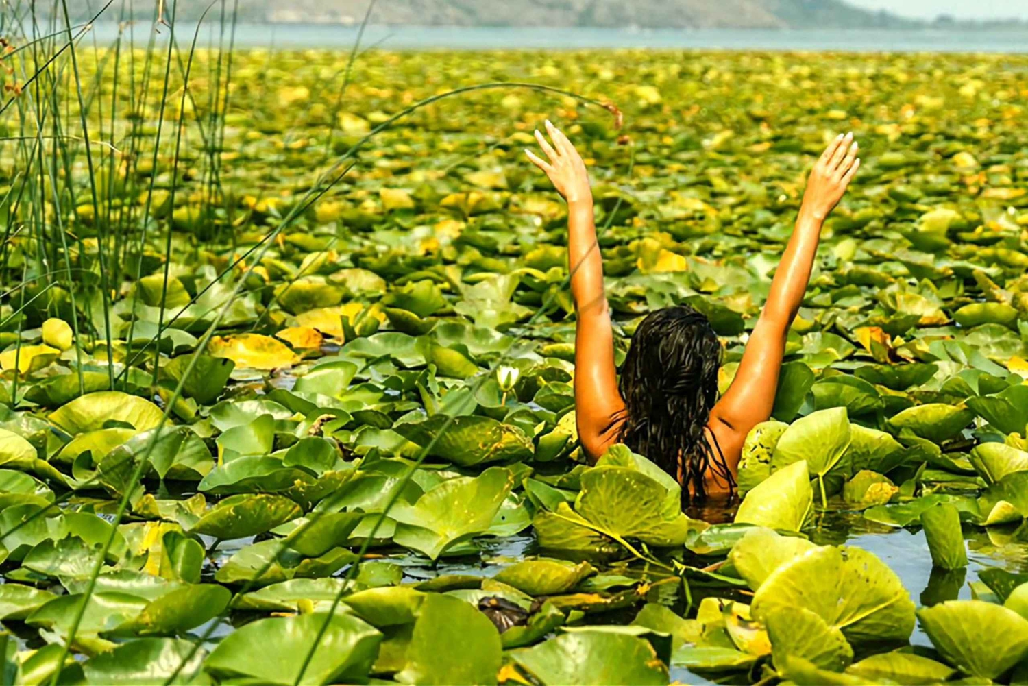 Nationalpark Skadar-See: Umweltfreundliches Kajak-Abenteuer
