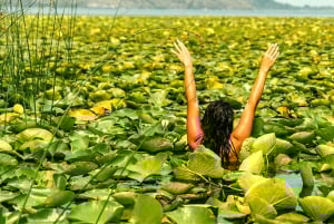 Skadar Lake National Park: Eco-friendly Kayak Adventure