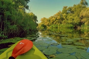 Skadar Lake National Park: Eco-friendly Kayak Adventure