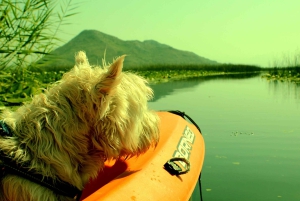 Nationalpark Skadar-See: Umweltfreundliches Kajak-Abenteuer